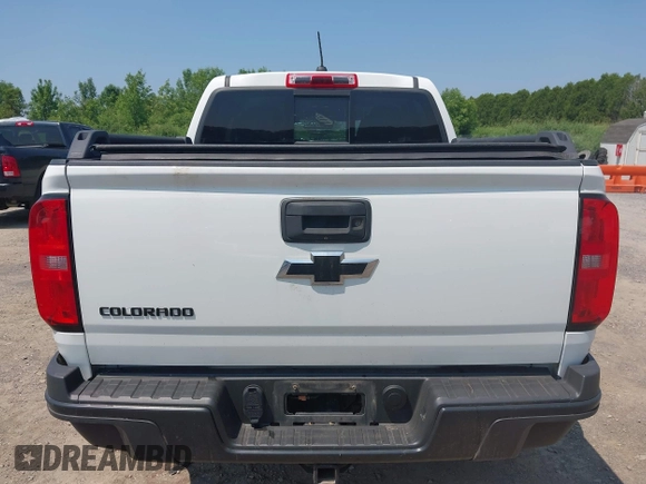 2019 Chevrolet Colorado 4WD ZR2 with VIN 1GCGTEEN9K1335858, listed as a IAAI auction lot 42447016 with 47,303 mi miles and . Bid and sale history available at DreamBid. Image 17.