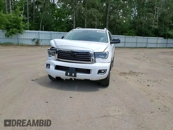 2019 Toyota Sequoia Limited with VIN 5TDJY5G14KS169284, listed as a Copart auction lot 59687854 with 81,162 mi miles and Salvage Title. Bid and sale history available at carsss.com. Image 11.