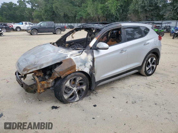 2017 Hyundai Tucson Value with VIN KM8J3CA22HU354809, listed as a Copart auction lot 55168544 with 0 mi miles and Non Repairable. Bid and sale history available at carsss.com. Image 1.