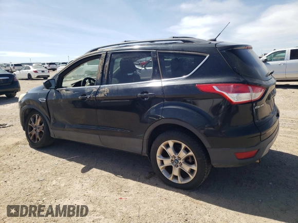 2013 Ford Escape SE with VIN 1FMCU0GX6DUB82060, listed as a Copart auction lot 50173005 with 149,216 mi miles and Salvage Title. Bid and sale history available at DreamBid. Image 2.
