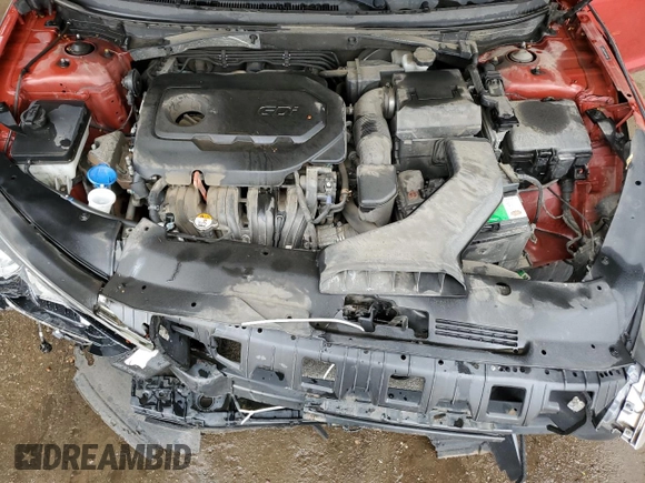2019 Hyundai Sonata SEL with VIN 5NPE34AF1KH770012, listed as a Copart auction lot 50244635 with 176,407 mi miles and Clean Title. Bid and sale history available at DreamBid. Image 11.