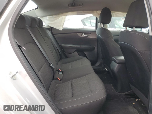 2019 Kia Forte LXS with VIN 3KPF24AD4KE120312, listed as a Copart auction lot 61841805 with 84,243 mi miles and Salvage title. Bid and sale history available at DreamBid. Image 10.