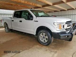 2019 Ford F-150 XL with VIN 1FTFW1E54KKE16420, listed as a Copart auction lot 62522515 with 141,177 mi miles and Clean title. Bid and sale history available at DreamBid. Image 4.