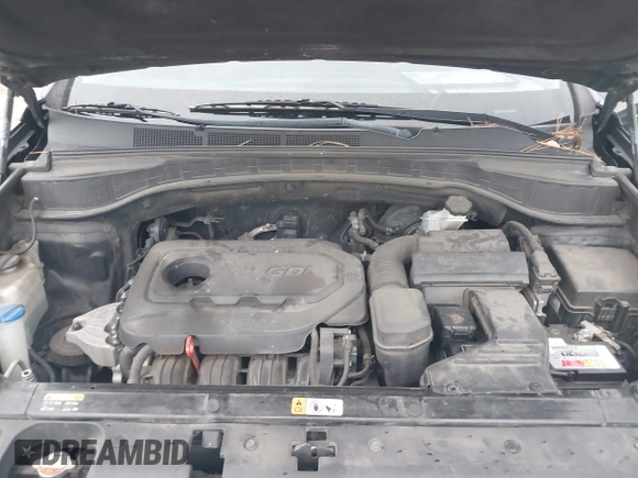 2017 Hyundai Santa Fe Sport 2.4L with VIN 5NMZU3LB6HH008593, listed as a IAAI auction lot 41353179 with 232,785 mi miles. Bid and sale history available at carsss.com. Image 10.