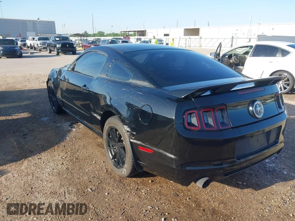 2014 Ford Mustang V6 with VIN 1ZVBP8AM9E5200757, listed as a IAAI auction lot 41976671 with 125,058 mi miles. Bid and sale history available at carsss.com. Image 3.