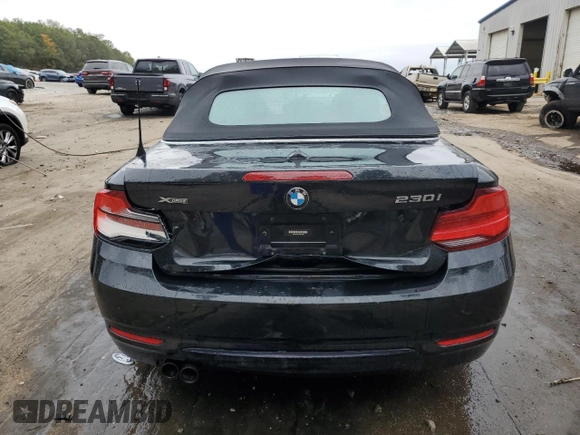 2018 BMW 2 Series 230i xDrive with VIN WBA2K1C53JVD41302, listed as a Copart auction lot 79075064 with 0 mi miles and Salvage Title. Bid and sale history available at carsss.com. Image 6.
