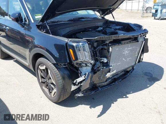 2025 Kia Telluride S with VIN 5XYP64GC4SG623557, listed as a IAAI auction lot 42385589 with 1,538 mi miles and . Bid and sale history available at DreamBid. Image 19.