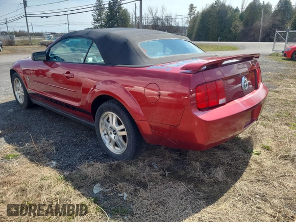 2006 Ford Mustang Standard with VIN 1ZVFT84N365233868, listed as a Copart auction lot 54738495 with 210,062 mi miles and Clean Title. Bid and sale history available at carsss.com. Image 3.