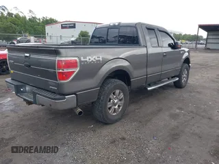 2011 Ford F-150 XL with VIN 1FTFX1EF0BFB60419, listed as a IAAI auction lot 42436655 with 211,359 mi miles and . Bid and sale history available at DreamBid. Image 4.