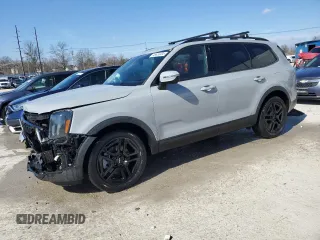 2024 Kia Telluride EX with VIN 5XYP3DGC1RG432472, listed as a Copart auction lot 46633495 with 16,385 mi miles and Salvage Title. Bid and sale history available at carsss.com. Image 1.