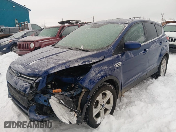 2014 Ford Escape SE with VIN 1FMCU9G90EUD25513, listed as a Copart auction lot 44211815 with 129,376 mi miles and Salvage Title. Bid and sale history available at DreamBid. Image 1.