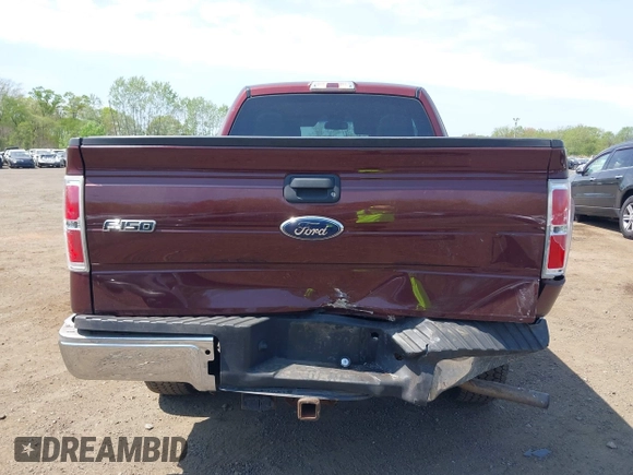2010 Ford F-150 XL with VIN 1FTEX1E84AFC33271, listed as a IAAI auction lot 42161569 with 134,654 mi miles and . Bid and sale history available at DreamBid. Image 18.
