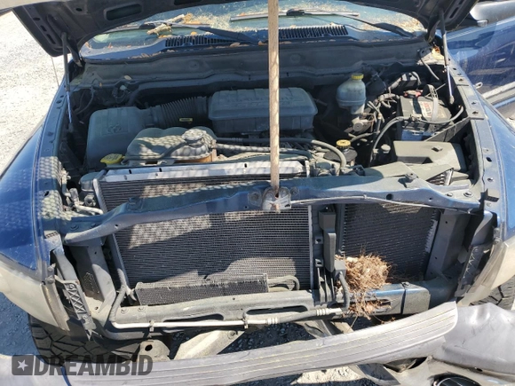 2002 Dodge 1500 with VIN 1D7HU18N62J201482, listed as a Copart auction lot 52121125 with 146,040 mi miles and Salvage Title. Bid and sale history available at carsss.com. Image 12.