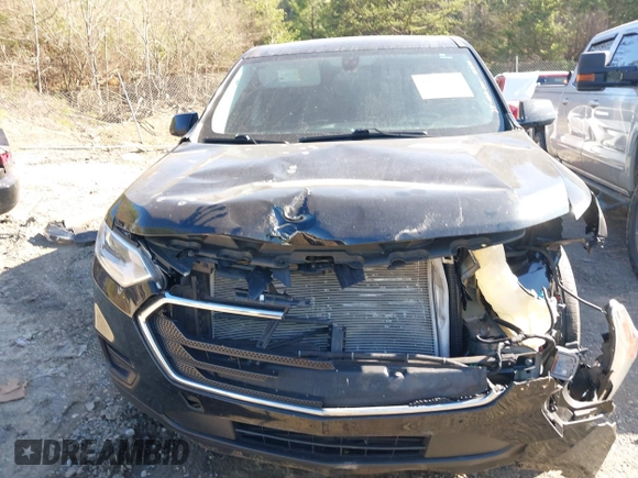 2018 Chevrolet Traverse LS z VIN 1GNERFKW4JJ156173, wystawiony jako IAAI lot #41651724 z przebiegiem 102 041 mil mil oraz . Historia ofert i sprzedaży dostępna na DreamBid. Obrazek 6.