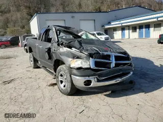 2003 Dodge Ram 1500 ST with VIN 1D7HU18N03S287271, listed as a Copart auction lot 85984214 with 0 mi miles and Salvage Title. Bid and sale history available at carsss.com. Image 11.