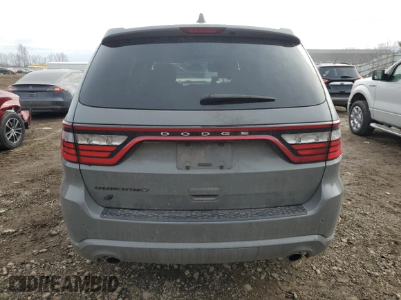2020 Dodge Durango SXT Plus with VIN 1C4RDJAG2LC282402, listed as a Copart auction lot 46500665 with 42,029 mi miles and Salvage Title. Bid and sale history available at DreamBid. Image 6.
