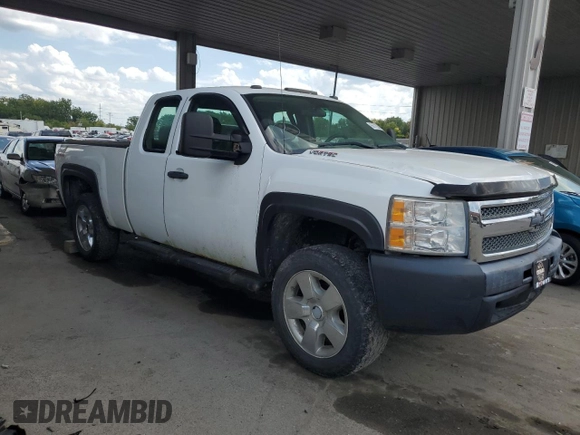 2010 Chevrolet Silverado 1500 with VIN 1GCSKPE32AZ140711, listed as a Copart auction lot 48301125 with 183,663 mi miles and Non Repairable. Bid and sale history available at DreamBid. Image 7.