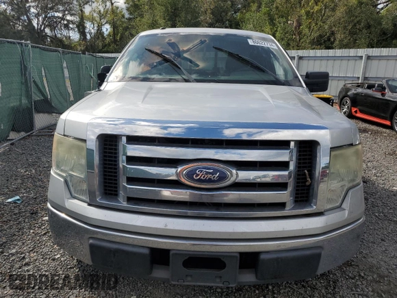 2010 Ford F-150 XL with VIN 1FTEX1C81AFB71833, listed as a Copart auction lot 80022734 with Not provided miles and Salvage title. Bid and sale history available at DreamBid. Image 5.