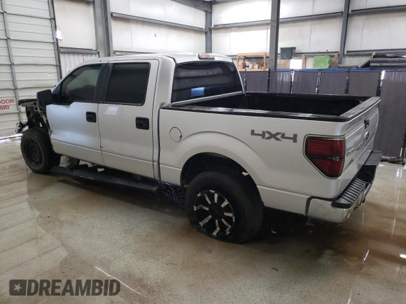 2010 Ford F-150 XL with VIN 1FTFW1EV5AFB52356, listed as a Copart auction lot 48421325 with 295,621 mi miles and Clean Title. Bid and sale history available at carsss.com. Image 2.