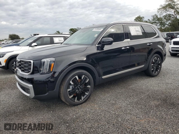 2024 Kia Telluride SX X-Line with VIN 5XYP5DGC6RG469978, listed as a Copart auction lot 81030984 with Not Provided miles and Salvage Title. Bid and sale history available at carsss.com. Image 1.