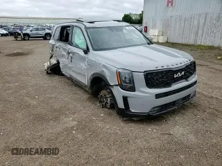 2022 Kia Telluride SX with VIN 5XYP5DHC2NG316829, listed as a Copart auction lot 56855525 with 108,100 mi miles and Non repairable. Bid and sale history available at DreamBid. Image 15.