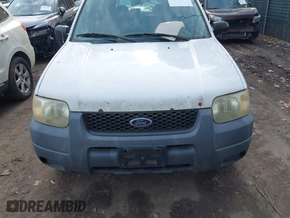 2003 Ford Escape XLS Popular with VIN 1FMYU021X3KC76123, listed as a IAAI auction lot 41844824 with 185,036 mi miles and . Bid and sale history available at DreamBid. Image 6.