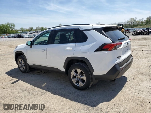 2023 Toyota RAV4 XLE with VIN 2T3P1RFV1PC380881, listed as a Copart auction lot 56160425 with 37,628 mi miles and Salvage title. Bid and sale history available at DreamBid. Image 2.