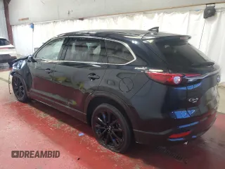 2023 Mazda CX-9 Touring Plus with VIN JM3TCBAY9P0658079, listed as a Copart auction lot 50730185 with 46,700 mi miles and Non repairable. Bid and sale history available at DreamBid. Image 2.