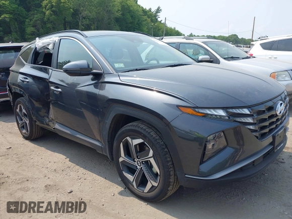 2023 Hyundai Tucson SEL with VIN 5NMJFCAE3PH181507, listed as a IAAI auction lot 42437052 with 18,462 mi miles and . Bid and sale history available at DreamBid. Image 1.