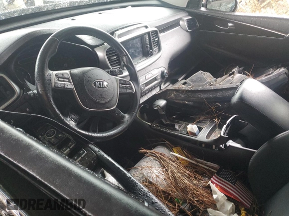 2020 Kia Sorento LX with VIN 5XYPG4A36LG685677, listed as a Copart auction lot 46022395 with 0 mi miles and Salvage Title. Bid and sale history available at carsss.com. Image 8.