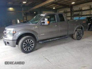 2013 Ford F-150 XL with VIN 1FTFX1ET2DFB77733, listed as a Copart auction lot 59107995 with Not provided miles and Salvage title. Bid and sale history available at DreamBid. Image 1.