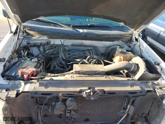 2011 Ford F-150 XL with VIN 1FTMF1CF1BKD07819, listed as a Copart auction lot 89199885 with 206,246 mi miles and Salvage Title. Bid and sale history available at carsss.com. Image 11.
