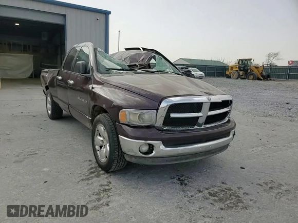 2004 Dodge 1500 SLT with VIN 1D7HA18N94S705188, listed as a Copart auction lot 49967065 with 263,022 mi miles and Salvage Title. Bid and sale history available at DreamBid. Image 11.
