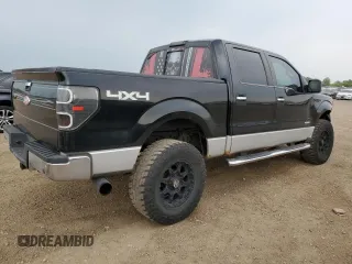 2011 Ford F-150 XLT with VIN 1FTFW1ET4BFC98666, listed as a Copart auction lot 59034455 with 175,742 mi miles and Salvage title. Bid and sale history available at DreamBid. Image 3.