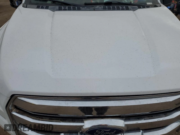 2017 Ford F-150 XL with VIN 1FTEW1E87HKD75473, listed as a Copart auction lot 85866994 with Not Provided miles and Non Repairable. Bid and sale history available at carsss.com. Image 11.