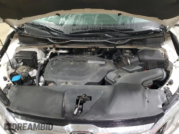 2019 Honda Odyssey EX-L with VIN 5FNRL6H70KB120310, listed as a Copart auction lot 51616445 with 124,398 mi miles and Salvage Title. Bid and sale history available at carsss.com. Image 13.