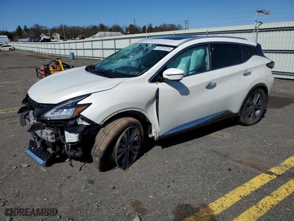 2020 Nissan Murano Platinum with VIN 5N1AZ2DS2LN168095, listed as a Copart auction lot 51231015 with 64,396 mi miles and Salvage Title. Bid and sale history available at carsss.com. Image 1.