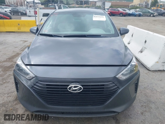 2017 Hyundai Ioniq Blue with VIN KMHC65LC0HU046457, listed as a IAAI auction lot 42029616 with 224,660 mi miles and . Bid and sale history available at DreamBid. Image 13.