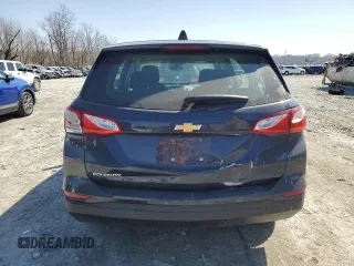 2019 Chevrolet Equinox LS with VIN 3GNAXHEV0KS539269, listed as a Copart auction lot 48317305 with 116,089 mi miles and Salvage Title. Bid and sale history available at DreamBid. Image 6.