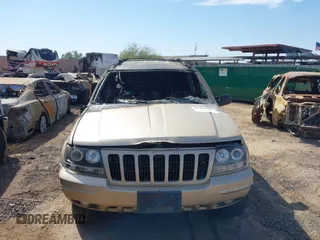 1999 Jeep Grand Cherokee Limited with VIN 1J4GW68N8XC625314, listed as a IAAI auction lot 42380215 with Not provided miles and . Bid and sale history available at DreamBid. Image 6.