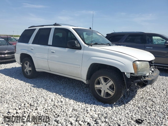 2006 Chevrolet TrailBlazer LS with VIN 1GNDT13S362343434, listed as a Copart auction lot 52205535 with 190,043 mi miles and Salvage Title. Bid and sale history available at DreamBid. Image 4.