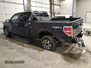 2010 Ford F-150 XL with VIN 1FTFW1EV6AFA11876, listed as a Copart auction lot 47563355 with 224,151 mi miles and Non Repairable. Bid and sale history available at carsss.com. Image 2.