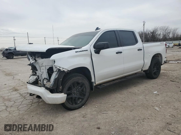 2023 Chevrolet Silverado 1500 Custom with VIN 3GCPDBEK2PG111289, listed as a Copart auction lot 48007395 with Not Provided miles and Non Repairable. Bid and sale history available at DreamBid. Image 1.