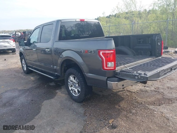 2017 Ford F-150 XL with VIN 1FTEW1EF5HFB81046, listed as a IAAI auction lot 41867836 with 117,896 mi miles. Bid and sale history available at carsss.com. Image 3.