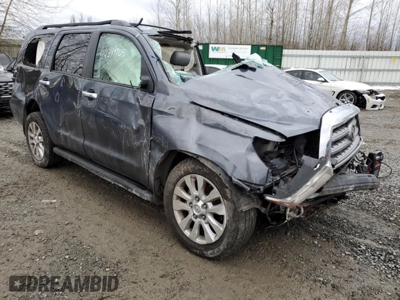 2010 Toyota Sequoia Platinum with VIN 5TDDY5G13AS024314, listed as a Copart auction lot 44349705 with 0 mi miles and Salvage Title. Bid and sale history available at carsss.com. Image 4.