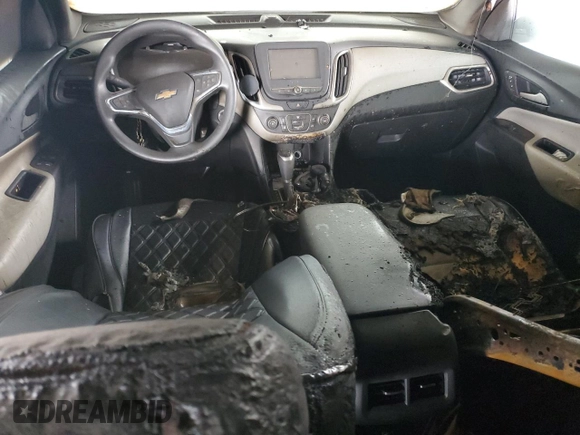 2018 Chevrolet Equinox LS with VIN 2GNAXHEV0J6301743, listed as a Copart auction lot 49280555 with Not Provided miles and Salvage Title. Bid and sale history available at DreamBid. Image 8.