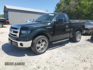 2013 Ford F-150 XL with VIN 1FTMF1CM1DFD63978, listed as a Copart auction lot 52976295 with 173,007 mi miles and Salvage title. Bid and sale history available at DreamBid. Image 1.