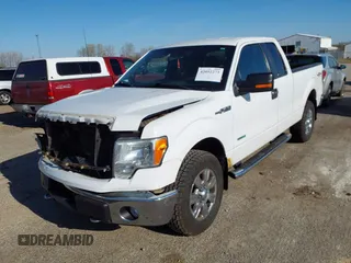 2012 Ford F-150 XL with VIN 1FTFX1ET2CFA74133, listed as a IAAI auction lot 42052273 with 223,019 mi miles and . Bid and sale history available at DreamBid. Image 18.