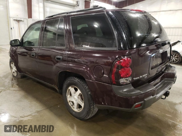 2008 Chevrolet TrailBlazer 1LT with VIN 1GNDT13S382237469, listed as a Copart auction lot 54240205 with 93,172 mi miles and Salvage Title. Bid and sale history available at DreamBid. Image 2.