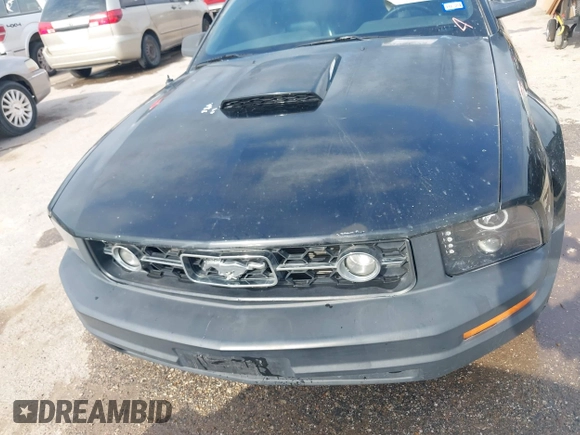 2008 Ford Mustang Deluxe with VIN 1ZVHT80N385150555, listed as a IAAI auction lot 41951656 with 195,708 mi miles. Bid and sale history available at carsss.com. Image 6.